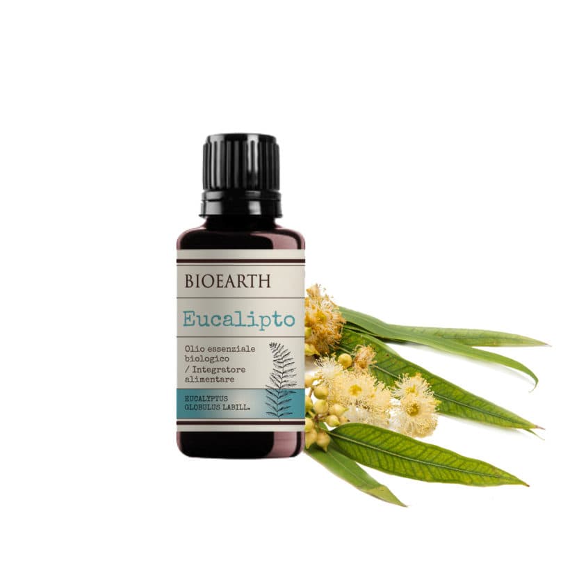 BIOEARTH Esenciální olej Eukalyptus BIO 10ml